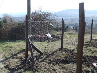 akacoszlopos_kerites